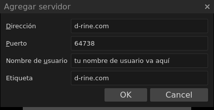 Mumble Agregar Servidor - Con Información