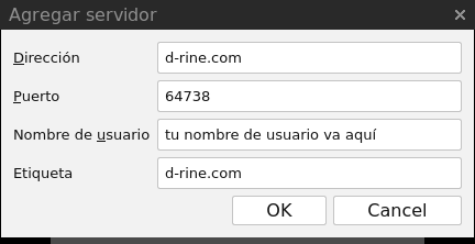 Mumble Agregar Servidor - Con Información