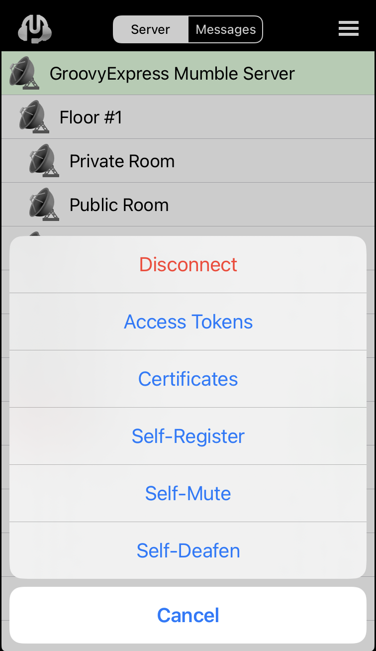GroovyExpress Mumble Server Room List - With Menu